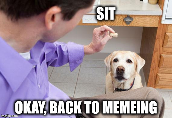 SIT OKAY, BACK TO MEMEING | made w/ Imgflip meme maker