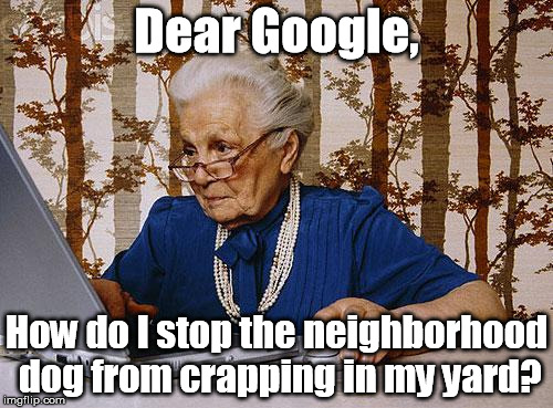 My great aunt found the Interweb. | Dear Google, How do I stop the neighborhood dog from crapping in my yard? | image tagged in old woman at pc,memes,meme | made w/ Imgflip meme maker
