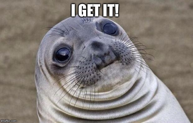 Awkward Moment Sealion | I GET IT! | image tagged in memes,awkward moment sealion | made w/ Imgflip meme maker