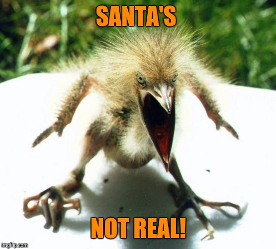 Angry bird | SANTA'S NOT REAL! | image tagged in angry bird | made w/ Imgflip meme maker