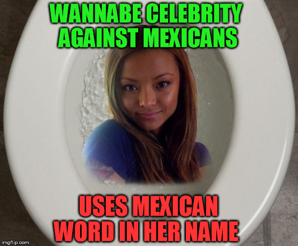 tila toilet ( tila tequila ) | WANNABE CELEBRITY AGAINST MEXICANS; USES MEXICAN WORD IN HER NAME | image tagged in toilet,toilet paper,toilet mouth,wannabe,bigot,bitch | made w/ Imgflip meme maker