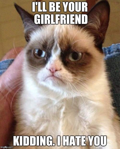 Grumpy Cat Meme | I'LL BE YOUR GIRLFRIEND KIDDING. I HATE YOU | image tagged in memes,grumpy cat | made w/ Imgflip meme maker