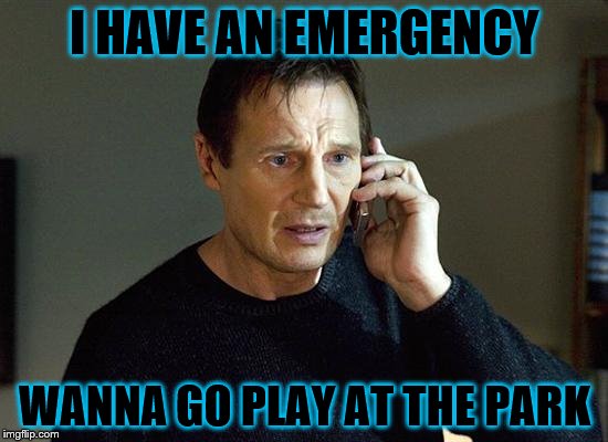 Liam Neeson Taken 2 | I HAVE AN EMERGENCY; WANNA GO PLAY AT THE PARK | image tagged in memes,liam neeson taken 2 | made w/ Imgflip meme maker