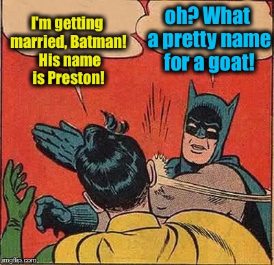 Not that there is anything wrong with that goat! | I'm getting married, Batman!  His name is Preston! oh? What a pretty name for a goat! | image tagged in memes,batman slapping robin,funny,evilmandoevil | made w/ Imgflip meme maker