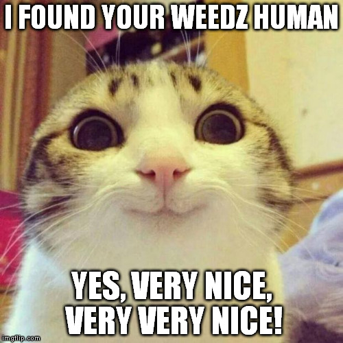 Smiling Cat Meme | I FOUND YOUR WEEDZ HUMAN; YES, VERY NICE, VERY VERY NICE! | image tagged in memes,smiling cat | made w/ Imgflip meme maker