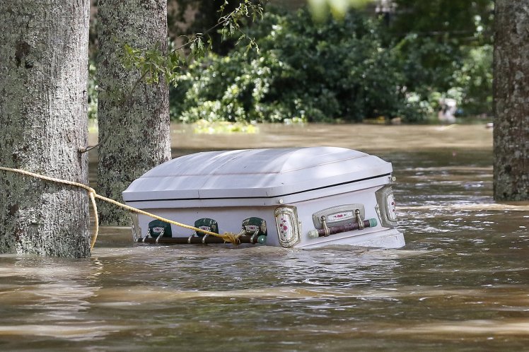 High Quality Coffin floating Blank Meme Template