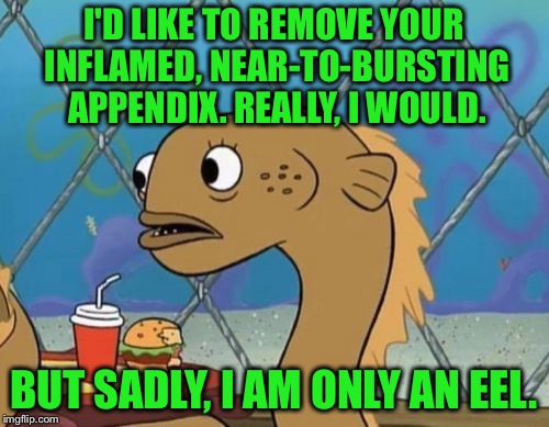 Sadly I Am Only An Eel | I'D LIKE TO REMOVE YOUR INFLAMED, NEAR-TO-BURSTING APPENDIX. REALLY, I WOULD. BUT SADLY, I AM ONLY AN EEL. | image tagged in memes,sadly i am only an eel | made w/ Imgflip meme maker