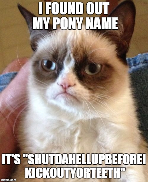 Grumpy Cat Meme | I FOUND OUT MY PONY NAME IT'S "SHUTDAHELLUPBEFOREI KICKOUTYORTEETH" | image tagged in memes,grumpy cat | made w/ Imgflip meme maker