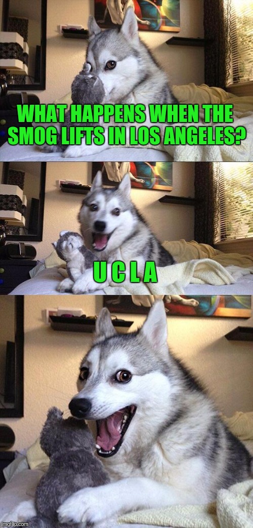 Bad Pun Dog | WHAT HAPPENS WHEN THE SMOG LIFTS IN LOS ANGELES? U C L A | image tagged in memes,bad pun dog | made w/ Imgflip meme maker