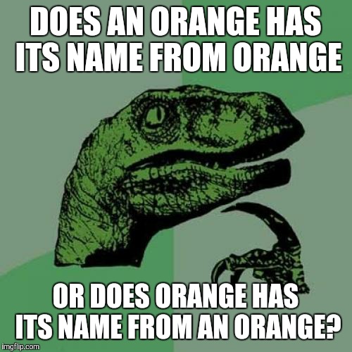 Philosoraptor | DOES AN ORANGE HAS ITS NAME FROM ORANGE; OR DOES ORANGE HAS ITS NAME FROM AN ORANGE? | image tagged in memes,philosoraptor | made w/ Imgflip meme maker
