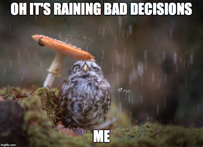bad decisions XD | OH IT'S RAINING BAD DECISIONS; ME | image tagged in bad,decisions,me,rain | made w/ Imgflip meme maker