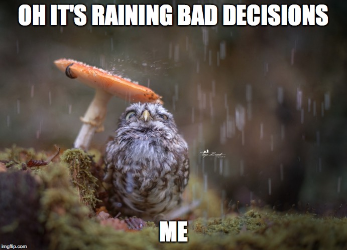 Bad Decisions XD Imgflip