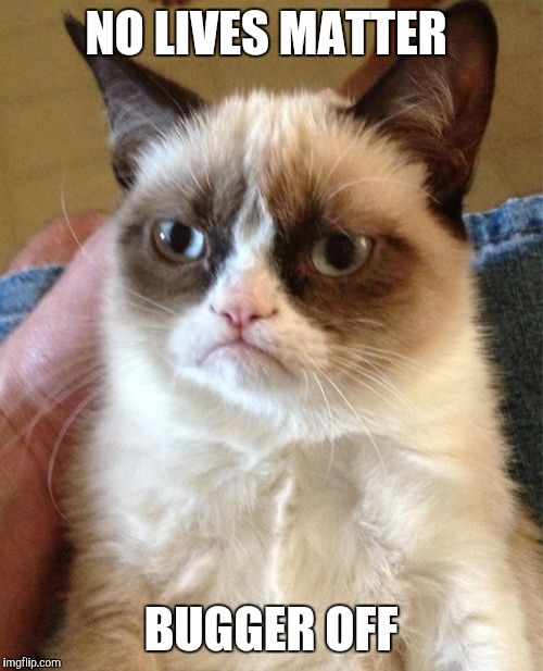Grumpy Cat | NO LIVES MATTER; BUGGER OFF | image tagged in memes,grumpy cat | made w/ Imgflip meme maker