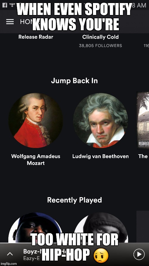WHEN EVEN SPOTIFY KNOWS YOU'RE; TOO WHITE FOR HIP-HOP 😔 | image tagged in spotify | made w/ Imgflip meme maker
