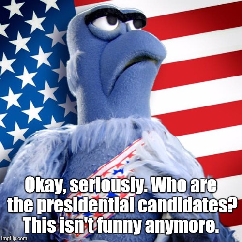 Sam the Eagle 2016 | Okay, seriously. Who are the presidential candidates? This isn't funny anymore. | image tagged in sam the eagle 2016 | made w/ Imgflip meme maker