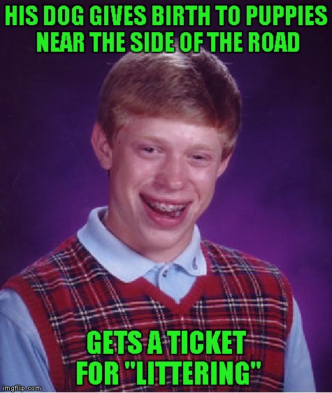 Bad Luck Brian Meme | HIS DOG GIVES BIRTH TO PUPPIES NEAR THE SIDE OF THE ROAD; GETS A TICKET FOR "LITTERING" | image tagged in memes,bad luck brian | made w/ Imgflip meme maker