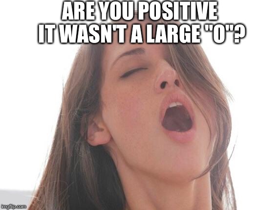 ARE YOU POSITIVE IT WASN'T A LARGE "O"? | made w/ Imgflip meme maker