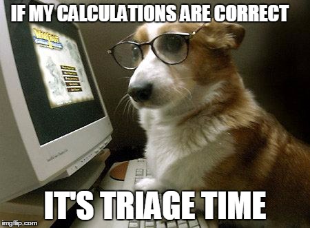 Smart Dog | IF MY CALCULATIONS ARE CORRECT; IT'S TRIAGE TIME | image tagged in smart dog | made w/ Imgflip meme maker