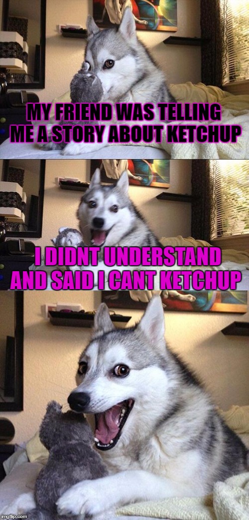 Bad Pun Dog | MY FRIEND WAS TELLING ME A STORY ABOUT KETCHUP; I DIDNT UNDERSTAND AND SAID I CANT KETCHUP | image tagged in memes,bad pun dog | made w/ Imgflip meme maker