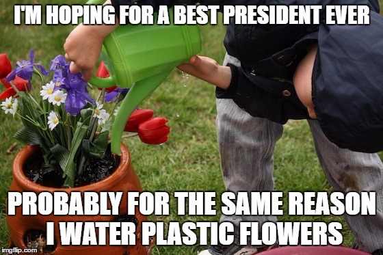 Water often. Water deep. | I'M HOPING FOR A BEST PRESIDENT EVER; PROBABLY FOR THE SAME REASON I WATER PLASTIC FLOWERS | image tagged in voting,insane,hillary clinton,donald trump,president | made w/ Imgflip meme maker
