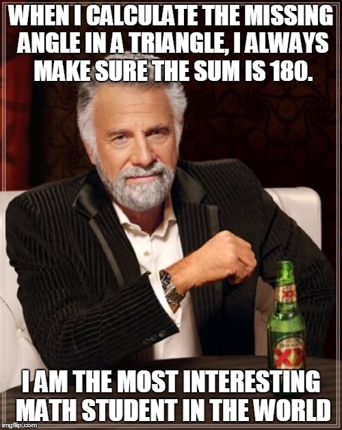 The Most Interesting Man In The World | WHEN I CALCULATE THE MISSING ANGLE IN A TRIANGLE, I ALWAYS MAKE SURE THE SUM IS 180. I AM THE MOST INTERESTING MATH STUDENT IN THE WORLD | image tagged in memes,the most interesting man in the world | made w/ Imgflip meme maker