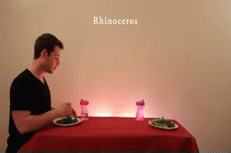 Rhinos | image tagged in gifs,funny | made w/ Imgflip video-to-gif maker