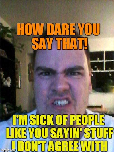 Grrr | HOW DARE YOU SAY THAT! I'M SICK OF PEOPLE LIKE YOU SAYIN' STUFF I DON'T AGREE WITH | image tagged in grrr | made w/ Imgflip meme maker