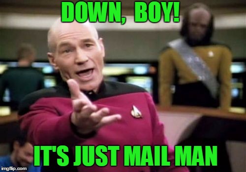 Picard Wtf Meme | DOWN,  BOY! IT'S JUST MAIL MAN | image tagged in memes,picard wtf | made w/ Imgflip meme maker