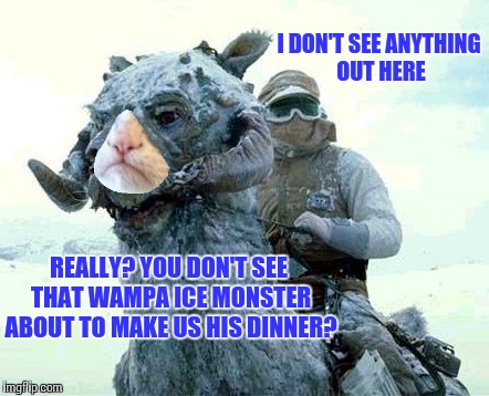 Grumpy tauntaun isn't very happy about this scouting mission | I DON'T SEE ANYTHING OUT HERE; REALLY? YOU DON'T SEE THAT WAMPA ICE MONSTER ABOUT TO MAKE US HIS DINNER? | image tagged in memes,star wars | made w/ Imgflip meme maker