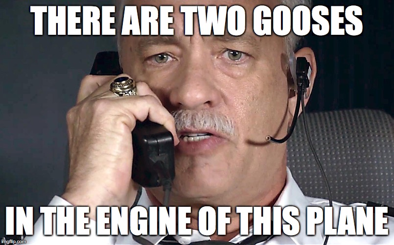 Sully Hanks | THERE ARE TWO GOOSES; IN THE ENGINE OF THIS PLANE | image tagged in sully,goose | made w/ Imgflip meme maker