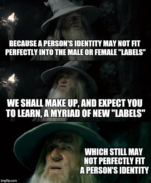 Perhaps we're just too hung up on labels | BECAUSE A PERSON'S IDENTITY MAY NOT FIT PERFECTLY INTO THE MALE OR FEMALE "LABELS"; WE SHALL MAKE UP, AND EXPECT YOU TO LEARN, A MYRIAD OF NEW "LABELS"; WHICH STILL MAY NOT PERFECTLY FIT A PERSON'S IDENTITY | image tagged in memes,confused gandalf | made w/ Imgflip meme maker