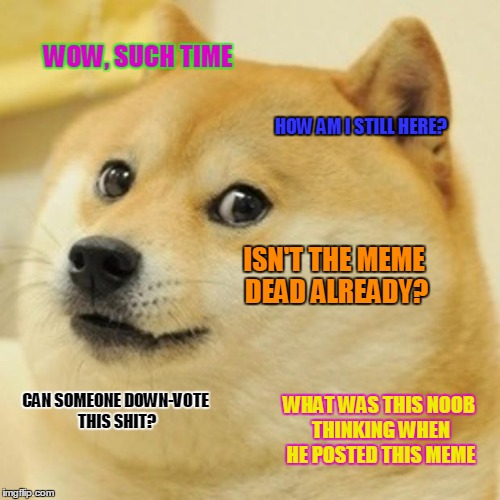 Doge Meme | WOW, SUCH TIME; HOW AM I STILL HERE? ISN'T THE MEME DEAD ALREADY? CAN SOMEONE DOWN-VOTE THIS SHIT? WHAT WAS THIS NOOB THINKING WHEN HE POSTED THIS MEME | image tagged in memes,doge | made w/ Imgflip meme maker