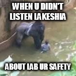harambe | WHEN U DIDN'T LISTEN LAKESHIA; ABOUT LAB UR SAFETY | image tagged in harambe | made w/ Imgflip meme maker