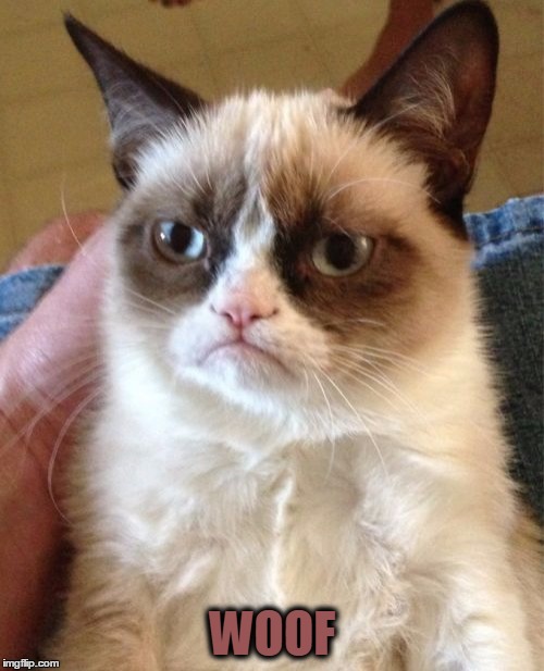 Grumpy Cat Meme | WOOF | image tagged in memes,grumpy cat | made w/ Imgflip meme maker