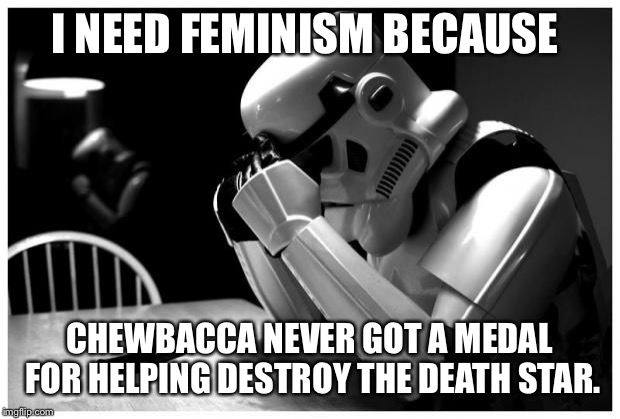 Sad Storm Trooper | I NEED FEMINISM BECAUSE; CHEWBACCA NEVER GOT A MEDAL FOR HELPING DESTROY THE DEATH STAR. | image tagged in sad storm trooper | made w/ Imgflip meme maker