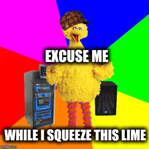 It's 5 o'clock somewhere. | EXCUSE ME; WHILE I SQUEEZE THIS LIME | image tagged in wrong lyrics karaoke big bird,scumbag,scumbag hat | made w/ Imgflip meme maker