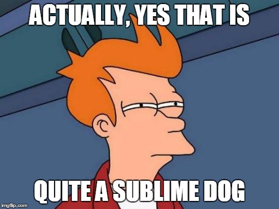 Futurama Fry Meme | ACTUALLY, YES THAT IS QUITE A SUBLIME DOG | image tagged in memes,futurama fry | made w/ Imgflip meme maker