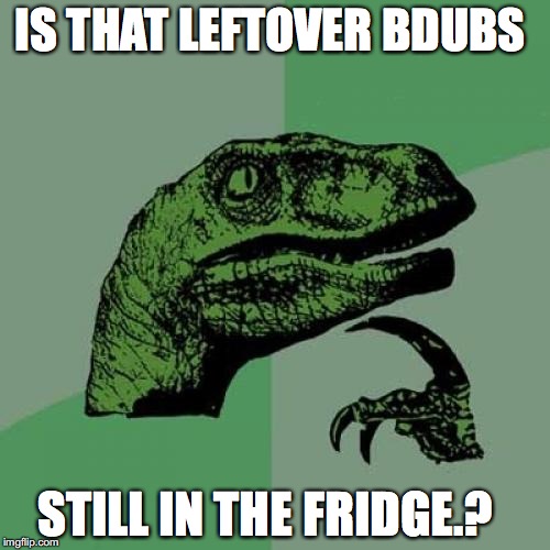 Philosoraptor Meme | IS THAT LEFTOVER BDUBS; STILL IN THE FRIDGE.? | image tagged in memes,philosoraptor | made w/ Imgflip meme maker
