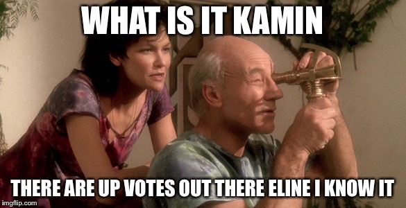 Picard/Kaman and Eline | WHAT IS IT KAMIN THERE ARE UP VOTES OUT THERE ELINE I KNOW IT | image tagged in picard/kaman and eline | made w/ Imgflip meme maker
