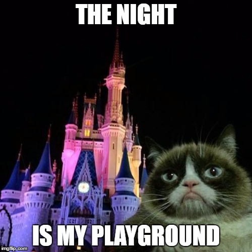 I am the night | THE NIGHT; IS MY PLAYGROUND | image tagged in grumpy cat disney,cats,memes | made w/ Imgflip meme maker