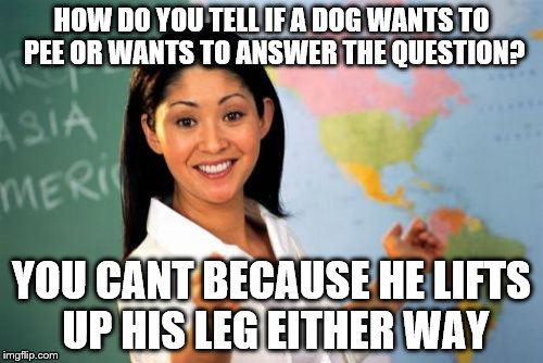 Unhelpful High School Teacher | HOW DO YOU TELL IF A DOG WANTS TO PEE OR WANTS TO ANSWER THE QUESTION? YOU CANT BECAUSE HE LIFTS UP HIS LEG EITHER WAY | image tagged in memes,unhelpful high school teacher | made w/ Imgflip meme maker
