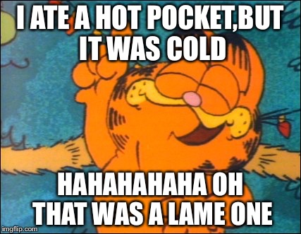 Garfield | I ATE A HOT POCKET,BUT IT WAS COLD; HAHAHAHAHA OH THAT WAS A LAME ONE | image tagged in garfield | made w/ Imgflip meme maker