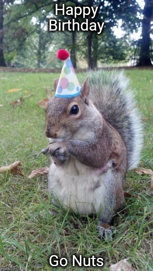 Super Birthday Squirrel | Happy Birthday; Go Nuts | image tagged in memes,super birthday squirrel | made w/ Imgflip meme maker