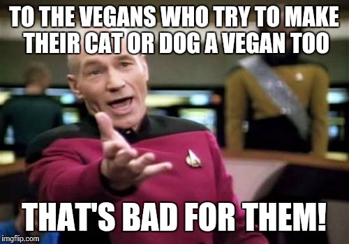 Picard Wtf Meme | TO THE VEGANS WHO TRY TO MAKE THEIR CAT OR DOG A VEGAN TOO; THAT'S BAD FOR THEM! | image tagged in memes,picard wtf | made w/ Imgflip meme maker