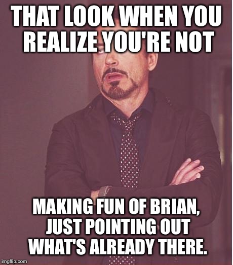 Face You Make Robert Downey Jr Meme | THAT LOOK WHEN YOU REALIZE YOU'RE NOT MAKING FUN OF BRIAN, JUST POINTING OUT WHAT'S ALREADY THERE. | image tagged in memes,face you make robert downey jr | made w/ Imgflip meme maker
