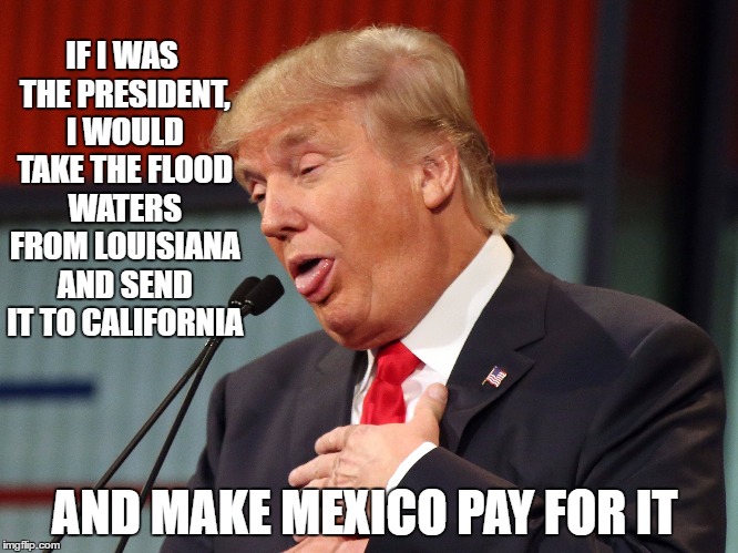  IF I WAS THE PRESIDENT, I WOULD TAKE THE FLOOD WATERS FROM LOUISIANA AND SEND IT TO CALIFORNIA; AND MAKE MEXICO PAY FOR IT | image tagged in trump louisiana flood | made w/ Imgflip meme maker