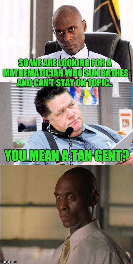 Wire Face | SO WE ARE LOOKING FOR A MATHEMATICIAN WHO SUN BATHES AND CAN'T STAY ON TOPIC.. YOU MEAN A TAN GENT? | image tagged in wire face | made w/ Imgflip meme maker