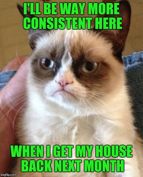 I miss being more regular...here.  | I'LL BE WAY MORE CONSISTENT HERE; WHEN I GET MY HOUSE BACK NEXT MONTH | image tagged in memes,grumpy cat | made w/ Imgflip meme maker