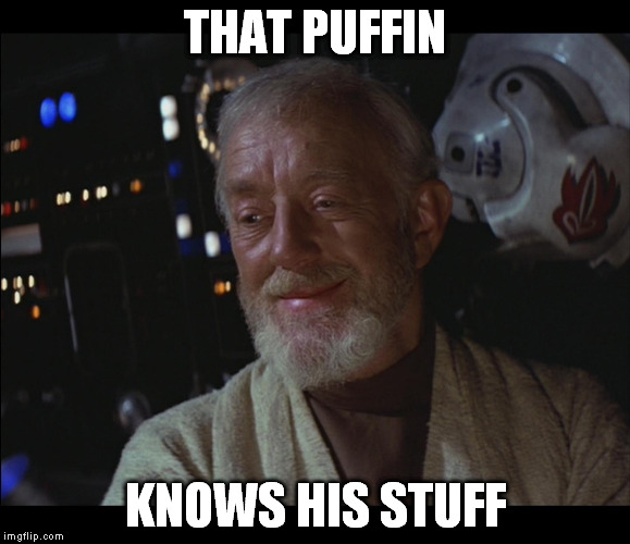 Star Wars Obi Wan High | THAT PUFFIN KNOWS HIS STUFF | image tagged in star wars obi wan high | made w/ Imgflip meme maker