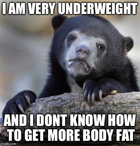 Confession Bear | I AM VERY UNDERWEIGHT; AND I DONT KNOW HOW TO GET MORE BODY FAT | image tagged in memes,confession bear | made w/ Imgflip meme maker
